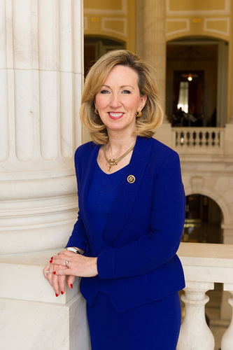 Barbara_Comstock_official_photo,_114th_Congress.jpg