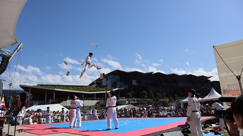 종합(한국축제 2).JPG