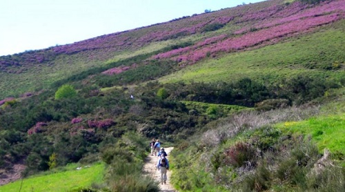 1 Camino de Santiago, Spain 1.jpg