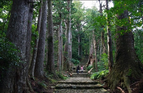 3 Kumano Ancient Trail 1.jpg