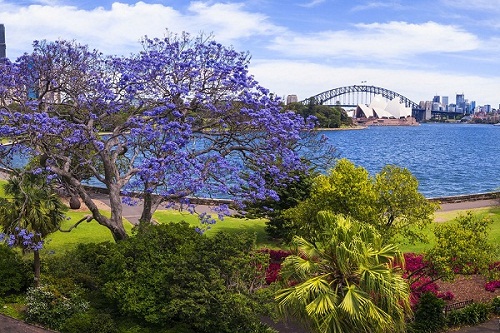 9 Royal Botanic Garden.jpg