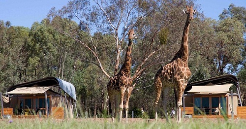 20 Taronga Zoo.jpg