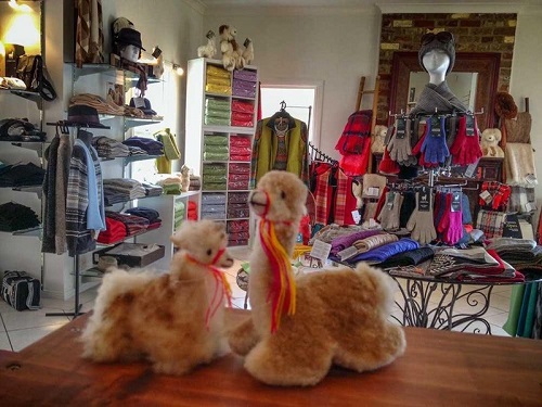 6 Australian Alpaca Centre-2.jpeg