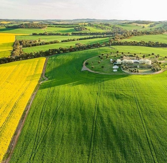 종합(canola trail 3).jpg