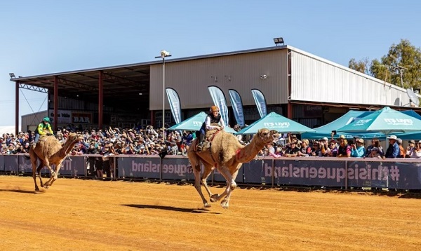 종합(Outback QLD 여행 3).jpg