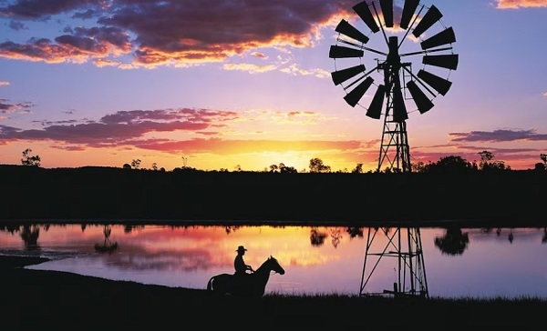 종합(Outback QLD 여행 4).jpg