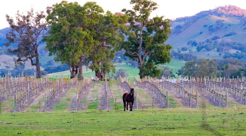 4 Mudgee-2.jpg