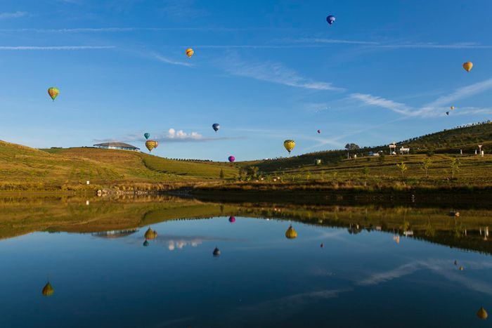 canberra Balloon 1.jpg