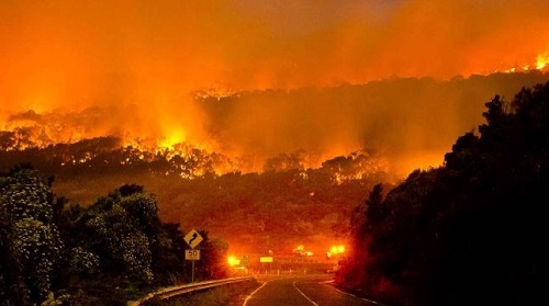 종합(Wye River bushfires 1).jpg