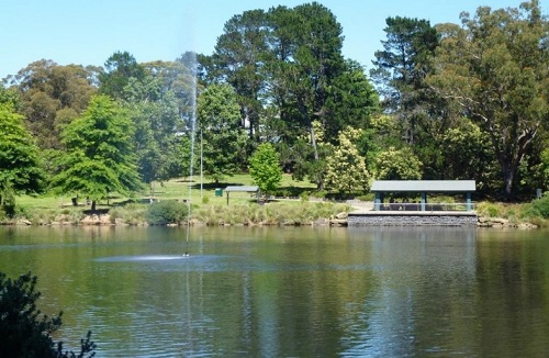 5 Lake Alexandra Reserve-1.jpg