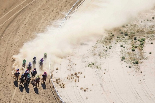 종합(Birdsville Races 2).jpg