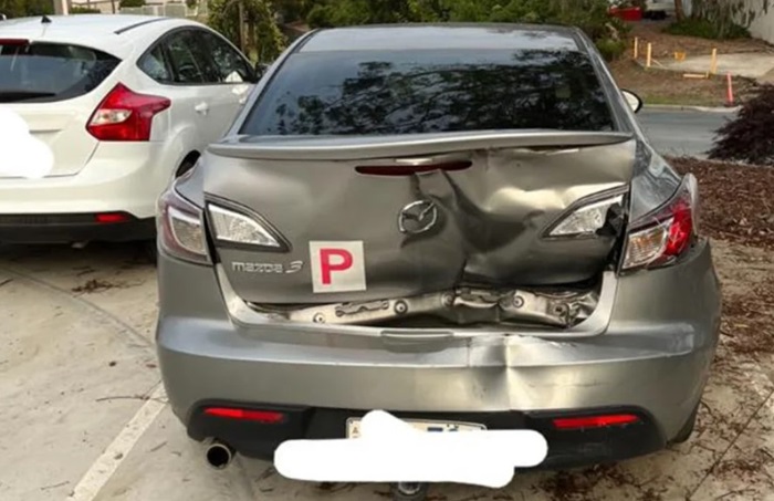 P plate 2.jpg