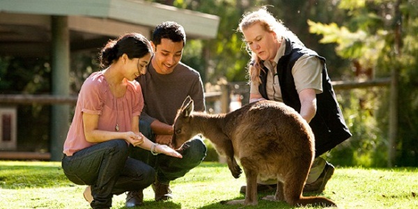 9 Healesville Sanctuary 1.jpg