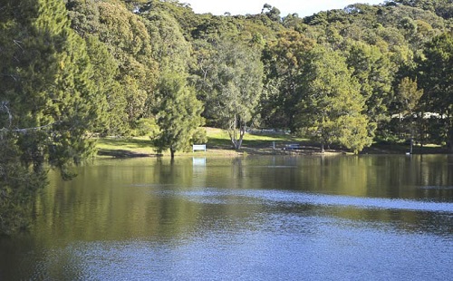 Manly Dam.jpg