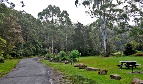 Lane Cove National Park.jpg