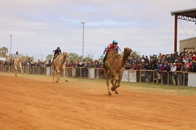 5 Boulia camel races-4.jpg