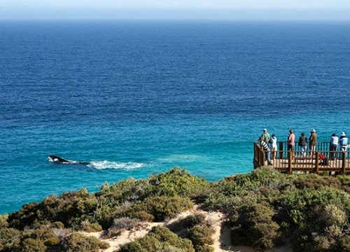 10 Eyre Peninsula 1.jpg