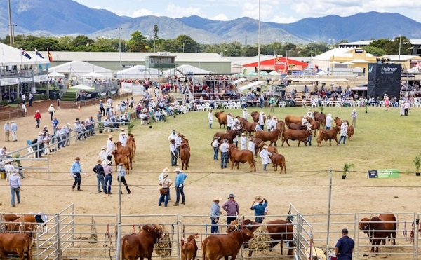 종합(Beef Australia 2).jpg