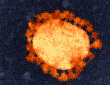 종합(코로나 백신 1).jpg