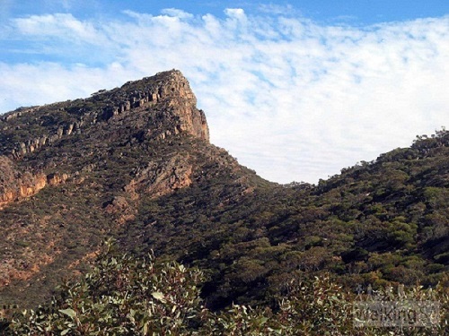 3 St Mary Peak-1.jpg