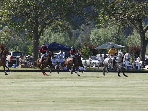 11 Sydney Polo Club-1.jpg