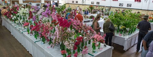 13 Bilpin Flower Show-2.jpg