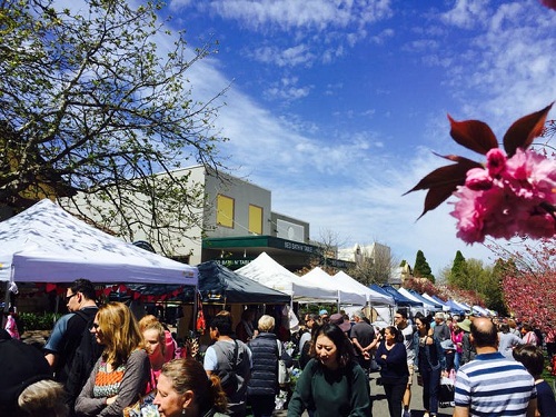 4 Leura Village Fair-2.jpeg