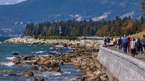 6 Seawall-1.jpg