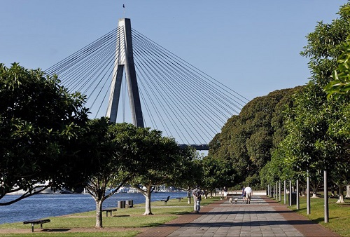 Blackwattle Bay Park.jpeg