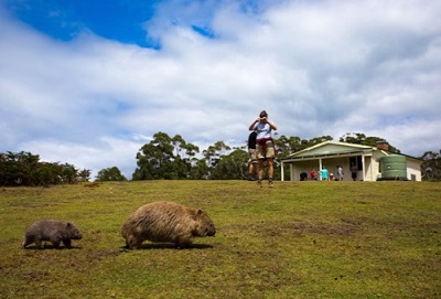 6 Maria Island 1.jpg