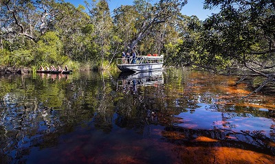 매거진(Noosa Everglades 2).jpg