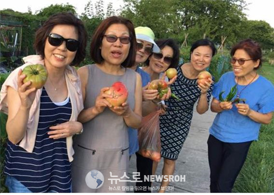 토마토서리꾼으로 돌변한 맨해튼의 미녀철새들.jpg