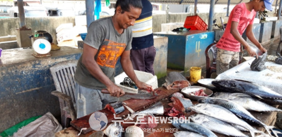 9 네곰보 해변에 고깃 배가 들어 오면 바로 옆에 붙어 있는 어시장에서 팔려 나간다. 냉동 냉장 시설이 제대로 갖추어.jpg