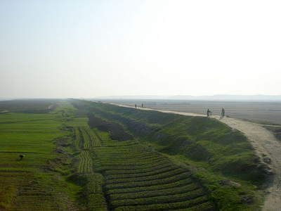 800px-DPRK_rice.jpg