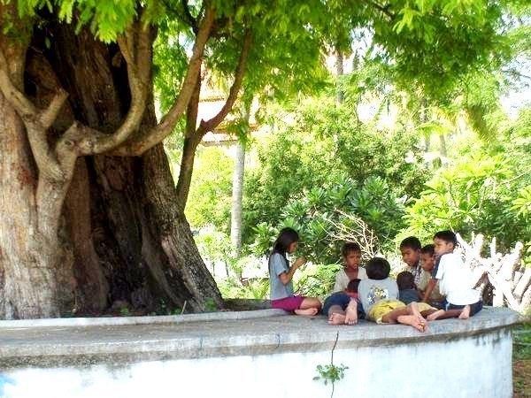 Life is free under the Tamarind Tree.jpg