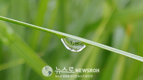 0714 풀이슬.jpg