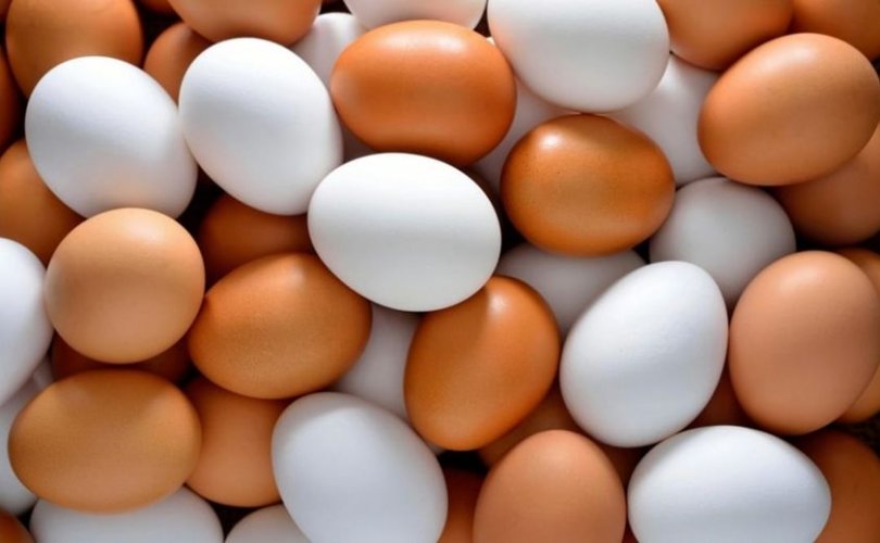 최근, 130만개의 달걀이 팔려.jpg
