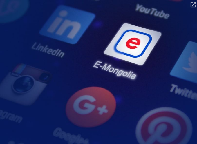 'E-Mongolia'의 공공 서비스 플랫폼, 채팅 및 전자 메일이 공격받지 않고 제대로 작동하여.png