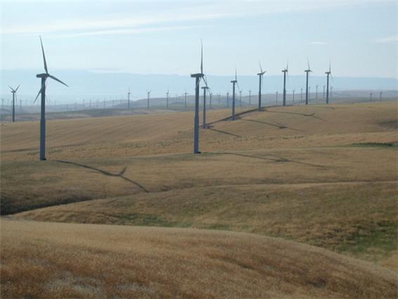 Sainshand 풍력발전소 금년 11월에 가동.jpg