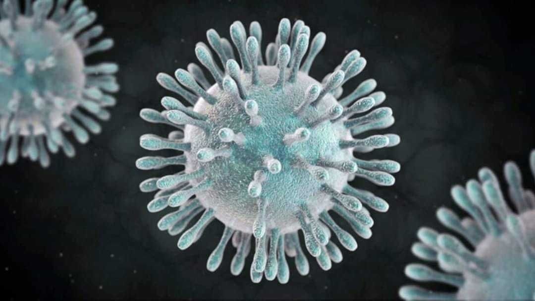 많은 사람들은 코로나바이러스 변이의 새로운 변종이 연구되어야 한다고 믿어.jpg