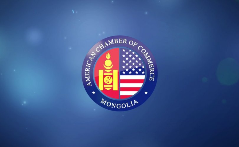 AmCham Mongolia의 촉구사항.jpg