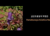 ‘창씨개명’ 한국의 꽃 해방선언