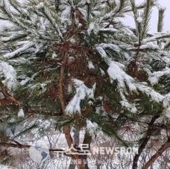 습설 濕雪